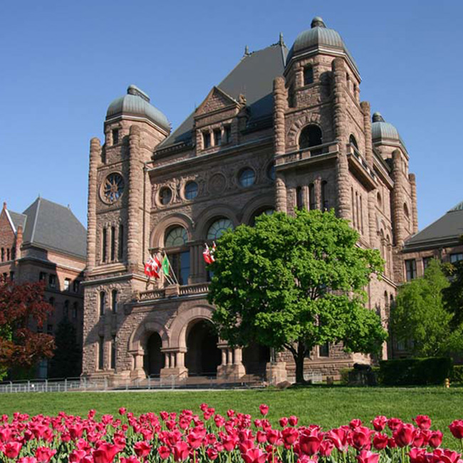 Queen's Park Toronto with pink tulips in the foreground