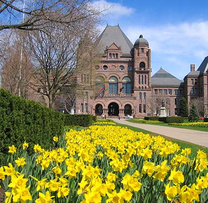 Queen's Park with yellow flowers on the lawn